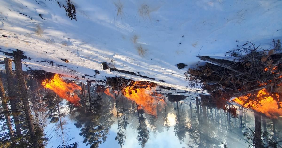 BLM plans two pile burns in San Luis Valley Bureau of Land Management